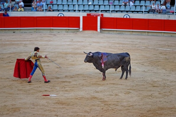 Corte Suprema notifica a Plaza México que puede reanudar corridas de toros