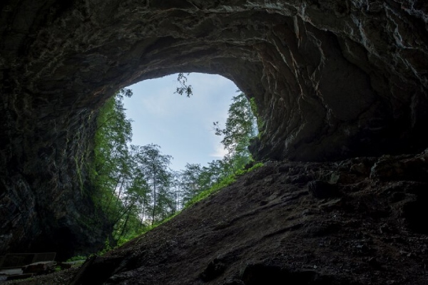 Descubren complejo de cuevas subterráneas habitadas por indigentes en California