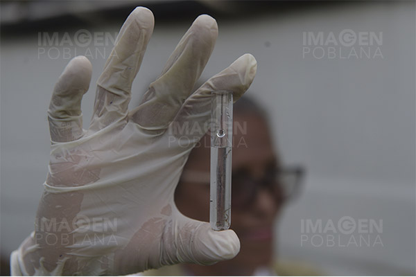 Confirman en Brasil desarrollo de vacuna contra el dengue con casi 80% de efectividad