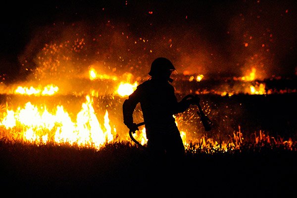 Incendio sin control afecta 6,000 hectáreas de bosque en la Patagonia argentina