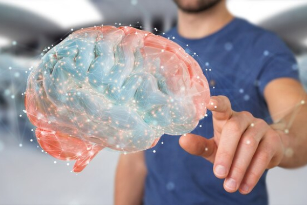 Comunidad científica pone en duda la seguridad de los implantes cerebrales de Neuralink