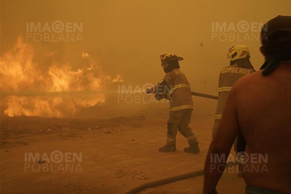 Bomberos de Chile controlan incendios forestales; dan por superada la emergencia
