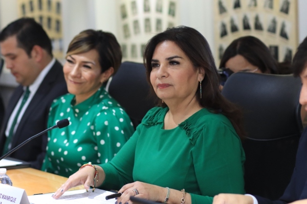 Beatriz Manrique, secretaria de Medio Ambiente, comparece en Comisión del Congreso