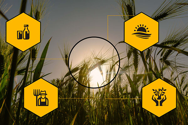 Alerta por sequía: pronostican pérdida del 30-50% en producción agrícola para 2024