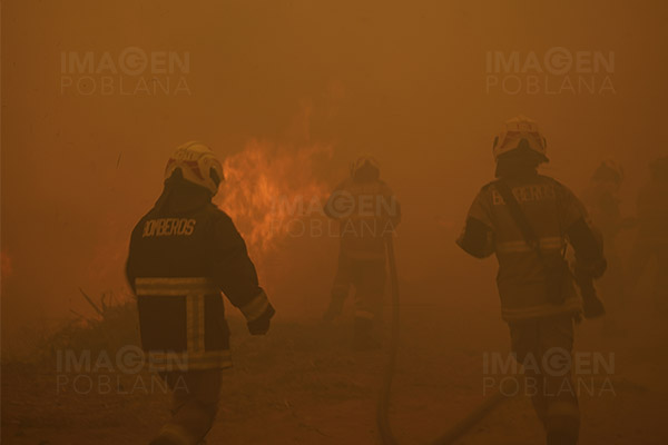 Incendios en Chile, ¿por qué fueron tan mortíferos?