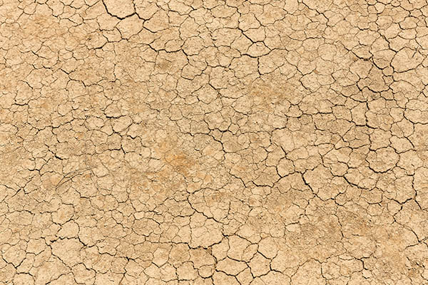 Décima parte de los campos en el mundo quedarían inutilizables en 2050: ONU