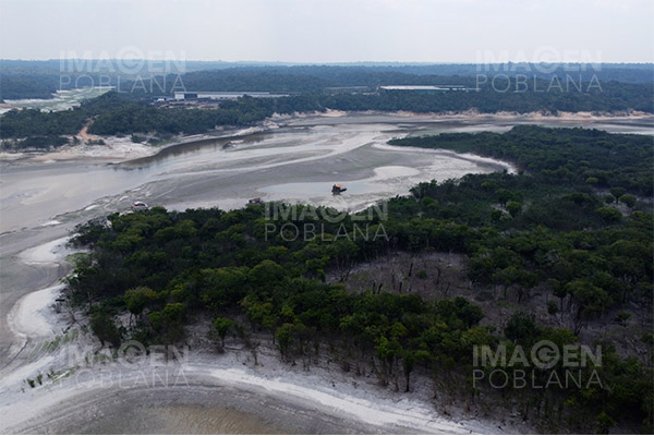 Casi la mitad de la selva amazónica podría colapsar para 2050, advierte estudio