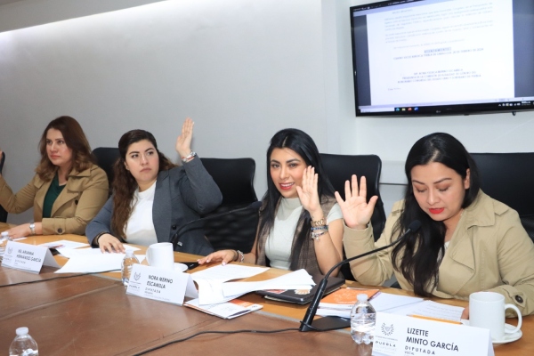 Comisión del Congreso aprueba exhorto para que la SEP sensibilice sobre la importancia del Día Internacional de la Mujer