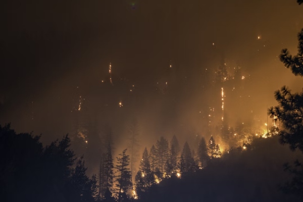 Incendios forestales en aumento, crisis climática impacta en el Edomex