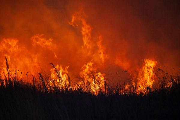 En menos de 48 horas, los incendios forestales en México se han duplicado