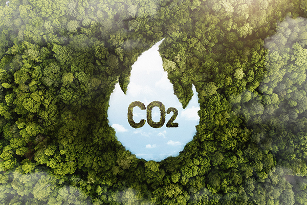 Estudio pronostica cómo afectará el aumento del CO2 al calentamiento de la Tierra