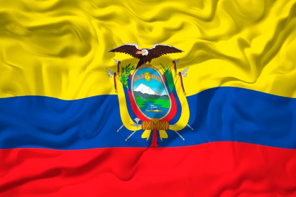 Corte de Ecuador descalifica decreto de estado de excepción por "conflicto armado interno"