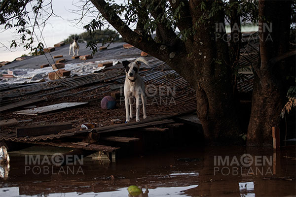 Sube a 154 el número de fallecidos en las inundaciones del sur de Brasil
