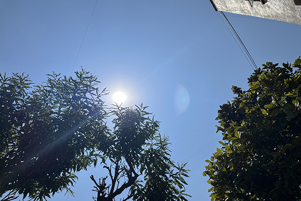 Consecuencias mortales: 48 fallecidos y 956 afectados por ola de calor en México
