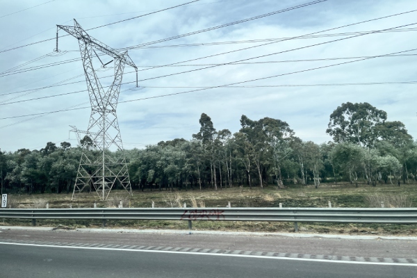 El Consejo Coordinador Empresarial pide transparencia ante los cortes de energía