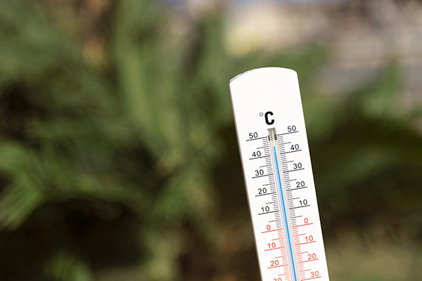 Hay 80 % de probabilidades de superar límite de temperatura de 1.5 grados en 5 años: OMM