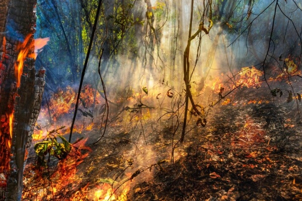Bolivia registra dos incendios forestales y 2,795 focos de calor
