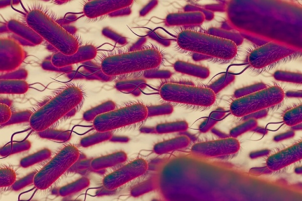 Bacteria carnívora se propaga con rapidez en Japón; expertos desconocen la causa