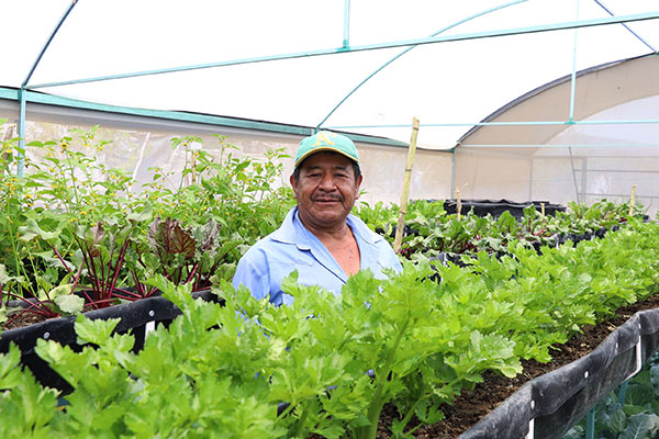 Fortalecen familias poblanas alimentación con módulos de Autosuficiencia