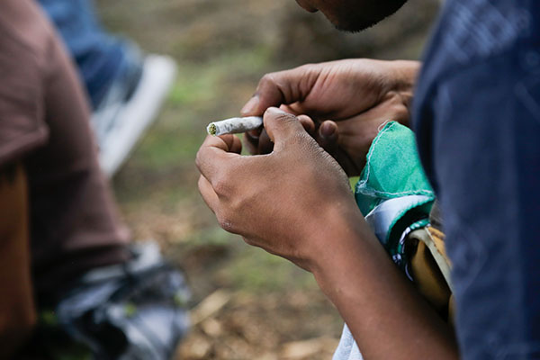 Tribunal Supremo de Brasil despenaliza uso de marihuana para consumo personal