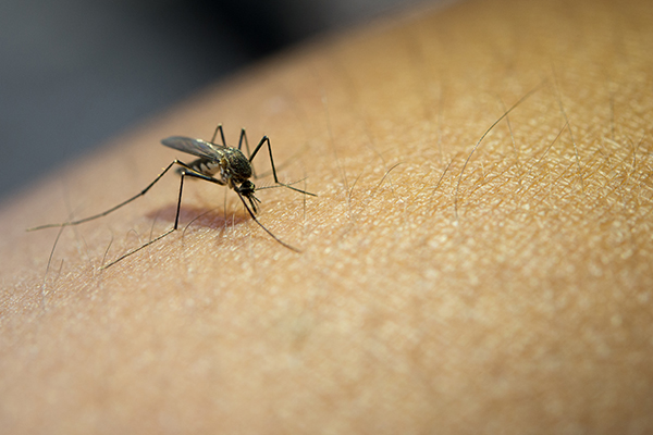 El Salvador decreta alerta por muerte de niños por dengue