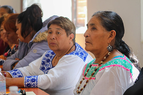 Inicia gobierno estatal capacitación en medicina tradicional indígena