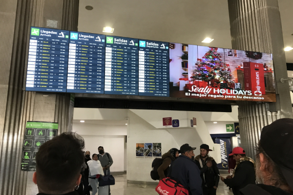Profeco dice que aerolíneas deben compensar por cancelar vuelos en apagón informático