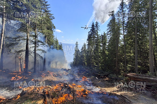 Carbono liberado por incendios en Canadá supera a las emisiones de la mayoría de los países
