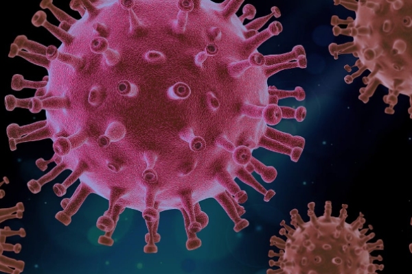 Descubren más de 30 virus "potencialmente peligrosos" en animales de granjas peleteras
