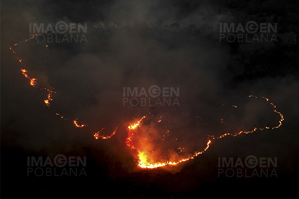 El fuego arrasó más de 11 millones de hectáreas en Brasil en lo que va del año