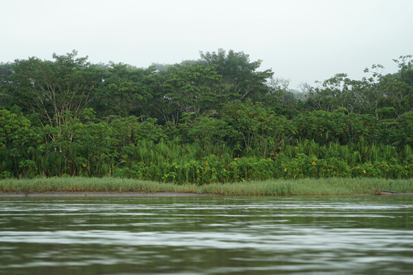 Ríos del Amazonas registran niveles mínimos históricos