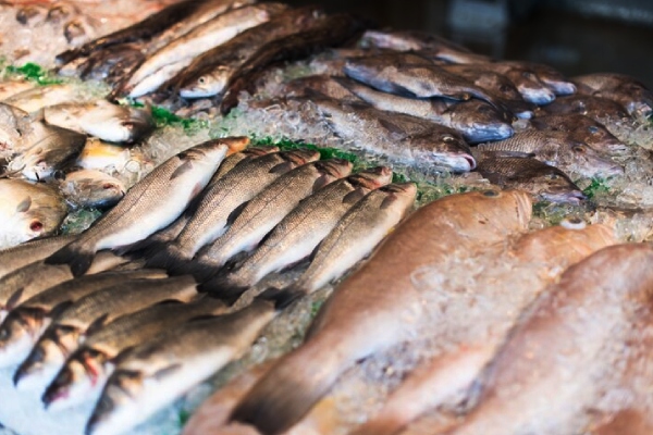 Más de 90 casos de una infección en Hong Kong vinculada a pescado de agua dulce
