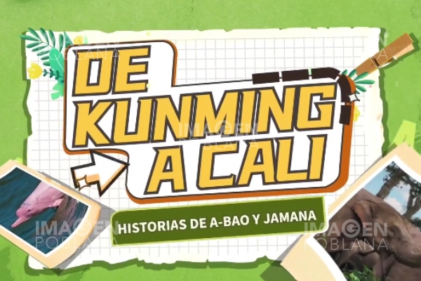De Kunming a Cali: Historias de A-Bao y Jamana