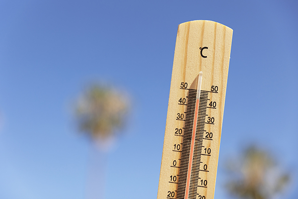 OMM advierte que temperaturas globales seguirán aumentando año tras año