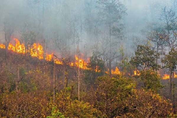 Incendios en el sur del Ecuador movilizan al Comité Nacional de Operaciones de Emergencia