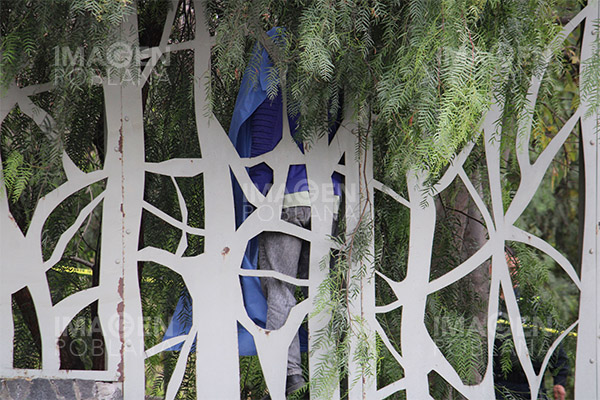 Se quitó la vida colgándose de un árbol en Los Fuertes