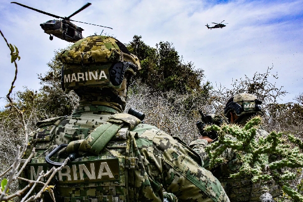 Senado aprueba entrada de tropas estadounidenses para adiestramiento de la Marina