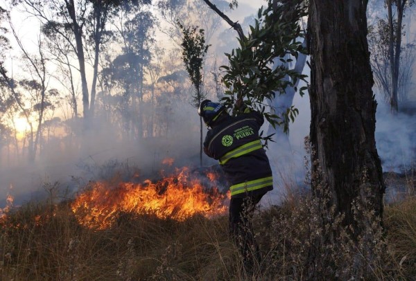 El que provoque un incendio forestal irá hasta 10 años a prisión