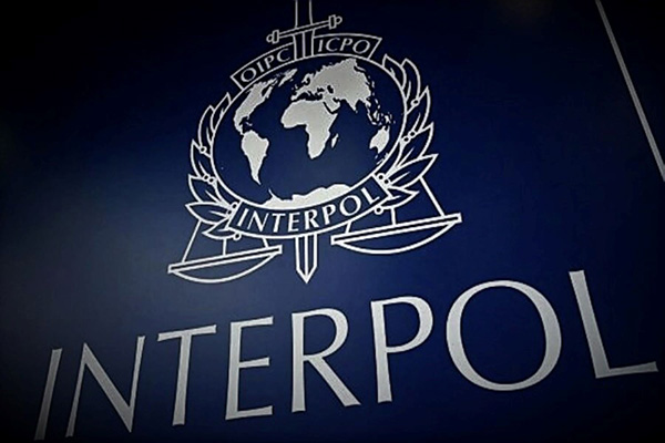 El papel de Interpol y sus fichas en la cooperación policial internacional