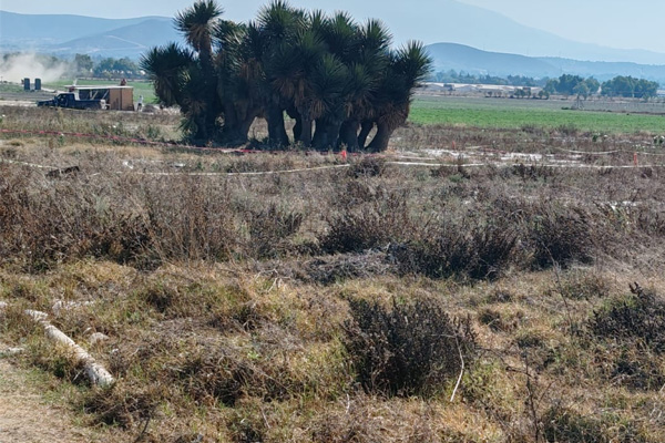 Continúa búsqueda de restos tras hallazgo de fosa en Palmar de Bravo