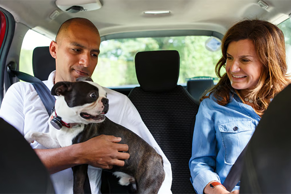 Poblanos podrán viajar con una mascota a través de Uber Pet