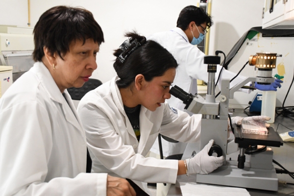 Con modelos computacionales, investigadores BUAP predicen y describen la regeneración epitelial