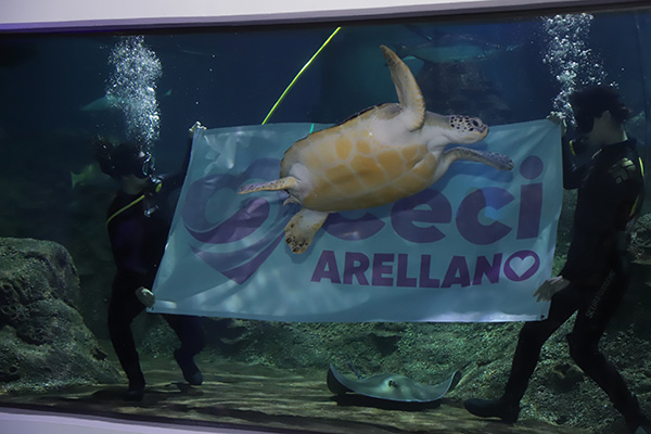 Acuario Michin Puebla se suma a los proyectos de los Voluntariados del gobierno del estado