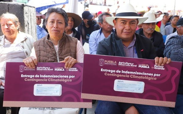 Gobierno de Puebla rescata economía de productores ante heladas atípicas en Chiautzingo