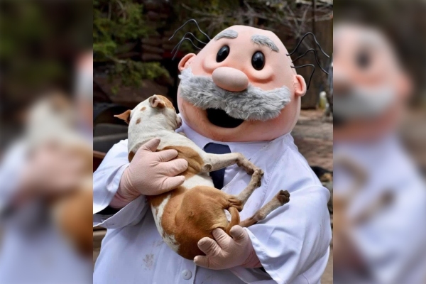 Dr. Simi escucha a seguidores y apuesta por el sector veterinario con SimiPet Care
