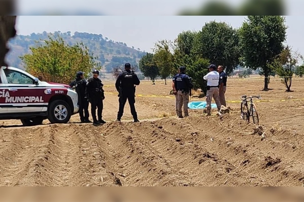 Hallan cuerpo de mujer con signos de violencia en terrenos de cultivo