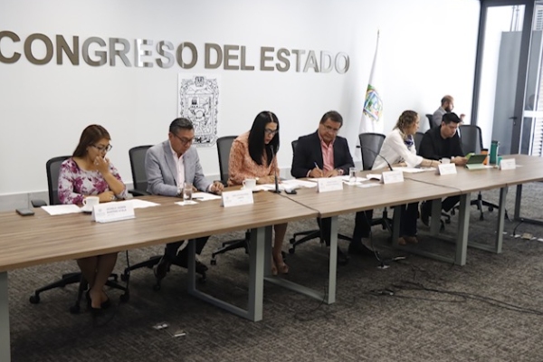 Aprueban reformas a la denominación y atribuciones de dos Comisiones y un Comité