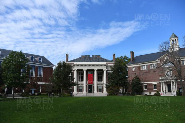 Presidente de Harvard recurre a exalumnos para abordar caso Trump