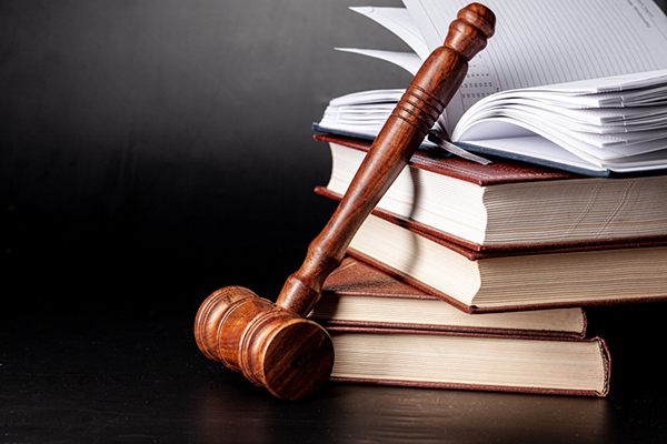 ¿Qué derechos tiene un presunto delincuente y por qué el Estado debe garantizarlos?
