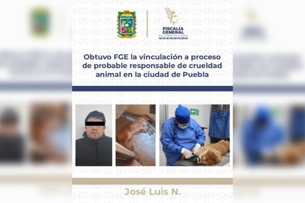 Obtuvo FGE vinculación a proceso de probable responsable de crueldad animal